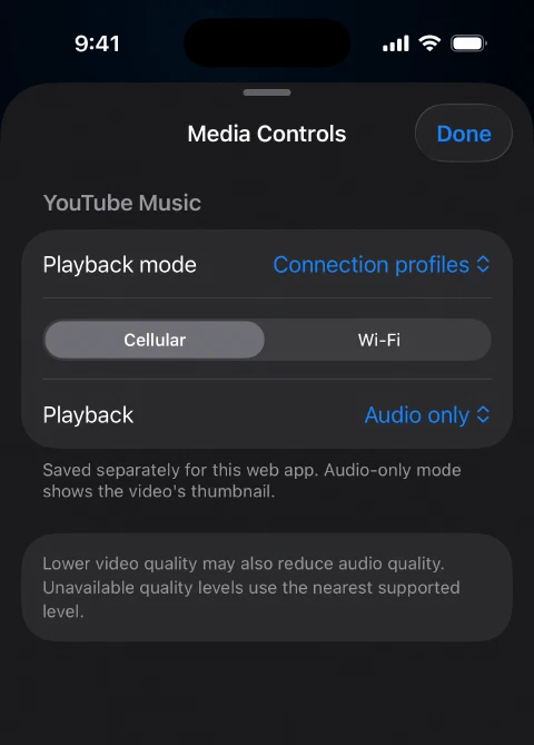 YouTube Music Media Controls with its saved Cellular profile set to Audio only